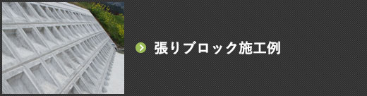 張りブロック施工例