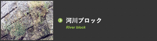 河川ブロック